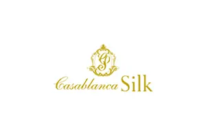 ebica-silk_logo