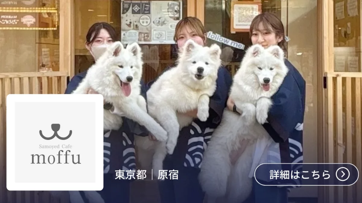 おいもちゃん 中古 100% Slendale Tokyo おいものおもい – なとりさんちのたまごや工房