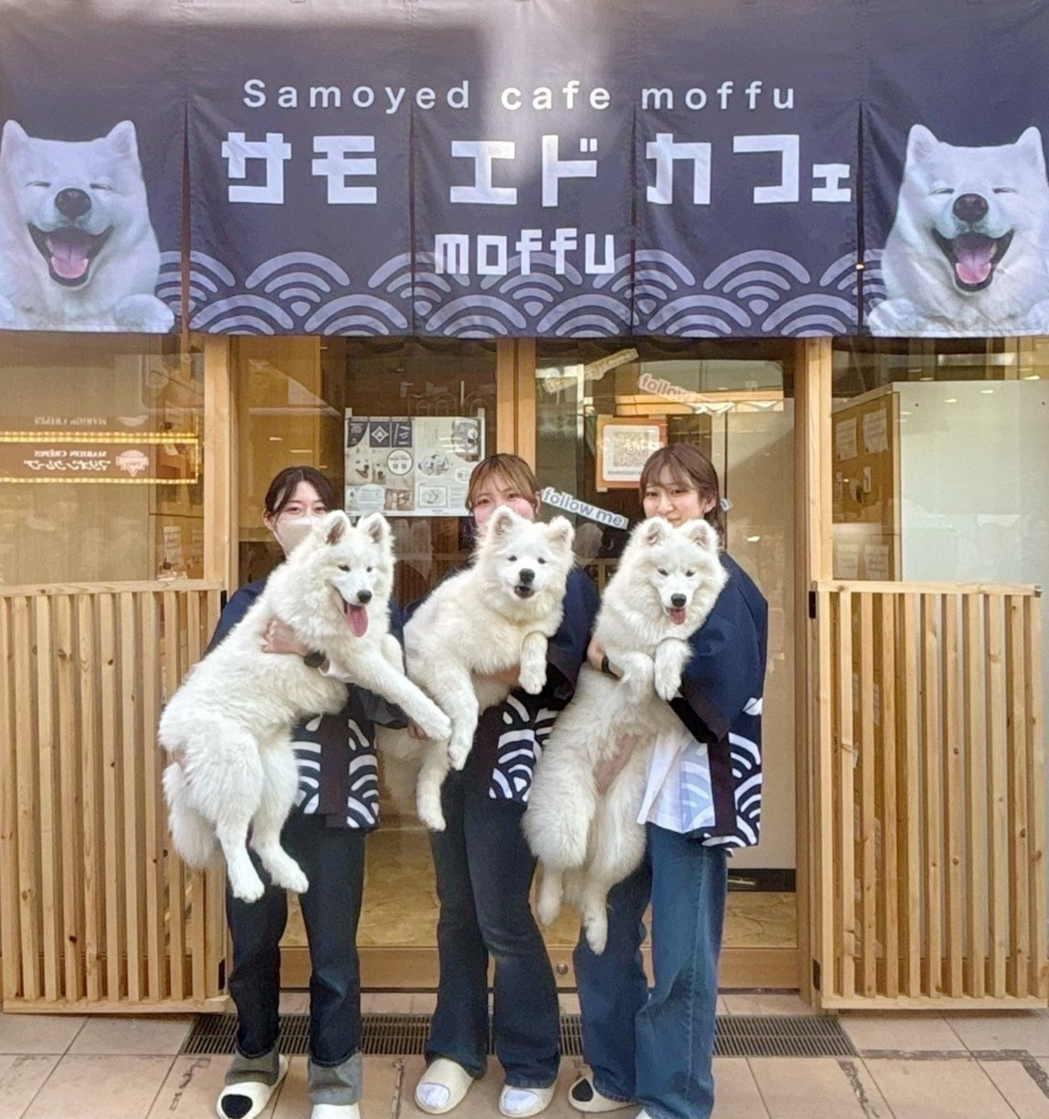 株式会社ONeOFF Group(東京都渋谷区)が運営する「サモエドカフェmoffu 竹下通り店」PCヘッダー画像